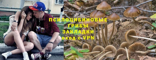 винт Балахна