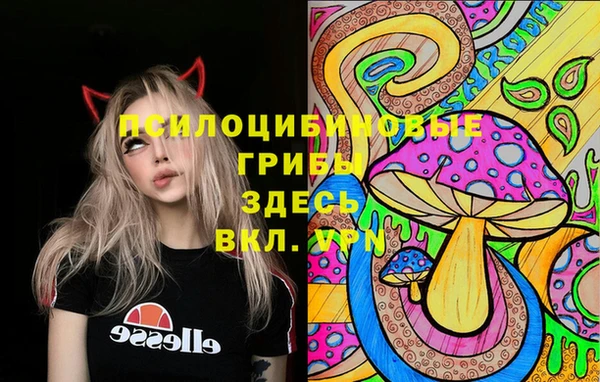 винт Балахна