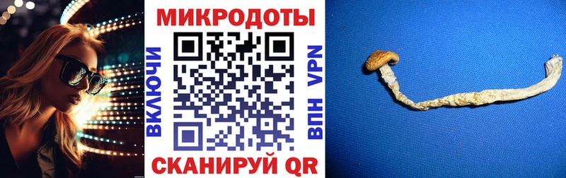 Псилоцибиновые грибы Psilocybine cubensis Вуктыл